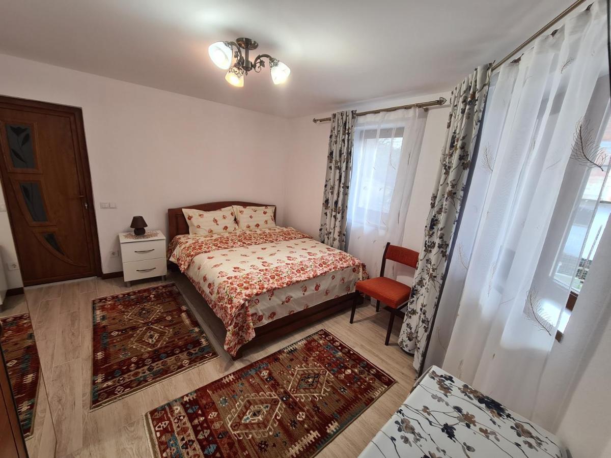 Casa Hera Calimanesti Exterior photo
