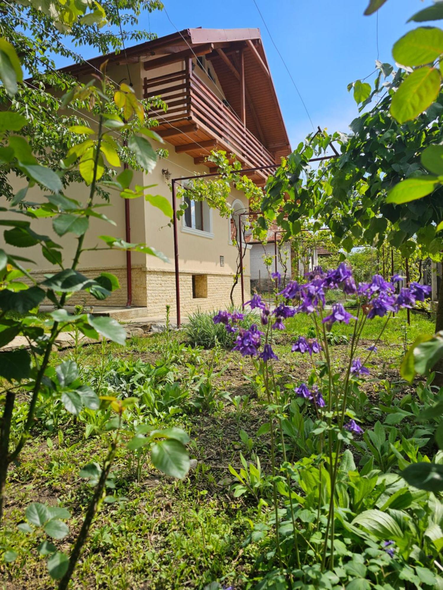 Casa Hera Calimanesti Exterior photo